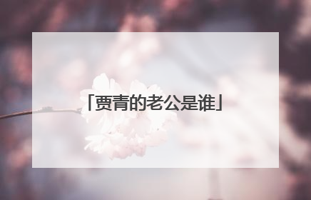 贾青的老公是谁