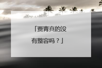 贾青真的没有整容吗？