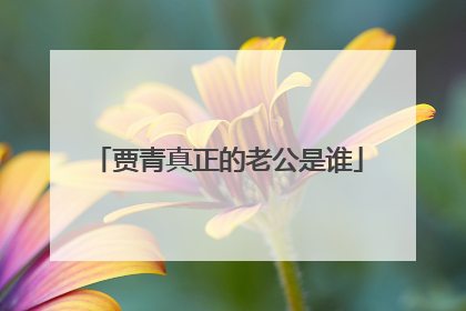 贾青真正的老公是谁