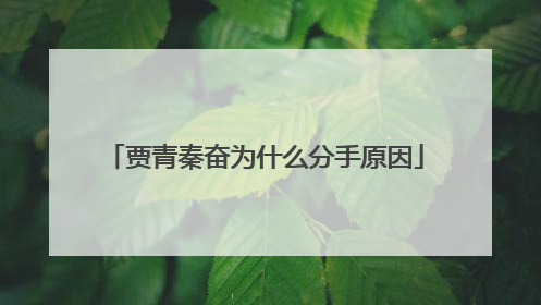 贾青秦奋为什么分手原因