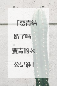 贾青结婚了吗 贾青的老公是谁