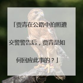 贾青在公路中拍照遭交警警告后,贾青是如何回应此事的?