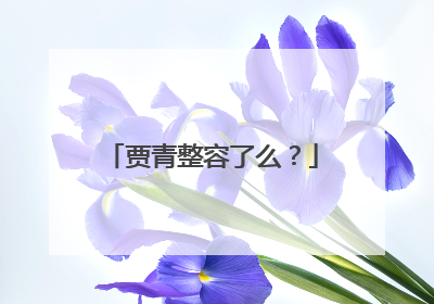 贾青整容了么？