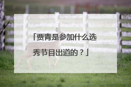 贾青是参加什么选秀节目出道的？