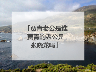 贾青老公是谁 贾青的老公是张晓龙吗