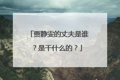 贾静雯的丈夫是谁？是干什么的？