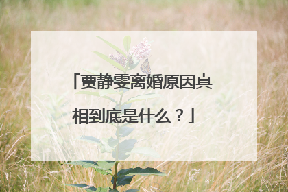 贾静雯离婚原因真相到底是什么?