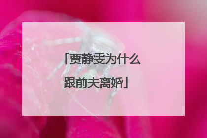 贾静雯为什么跟前夫离婚