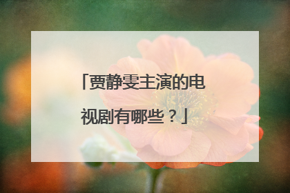 贾静雯主演的电视剧有哪些？