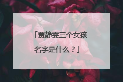 贾静雯三个女孩名字是什么？