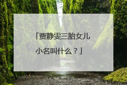 贾静雯三胎女儿小名叫什么?