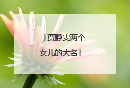 贾静雯两个女儿的大名