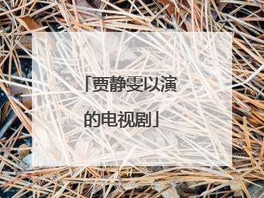 贾静雯以演的电视剧