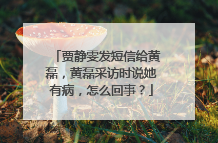 贾静雯发短信给黄磊，黄磊采访时说她有病，怎么回事？
