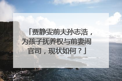 贾静雯前夫孙志浩，为孩子抚养权与前妻闹官司，现状如何？
