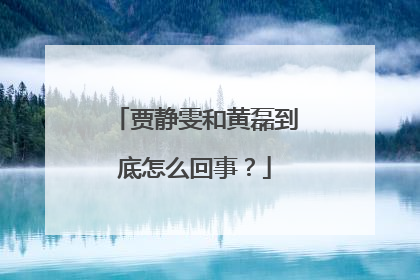 贾静雯和黄磊到底怎么回事?