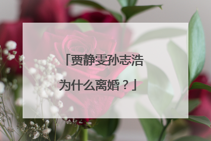 贾静雯孙志浩为什么离婚？