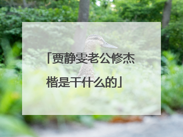 贾静雯老公修杰楷是干什么的