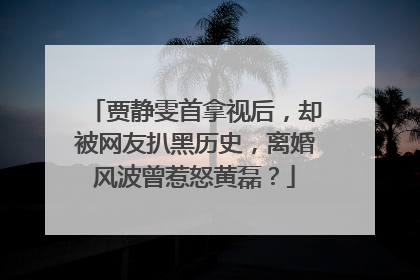 贾静雯首拿视后,却被网友扒黑历史,离婚风波曾惹怒黄磊?
