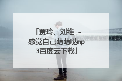 贾玲、刘维 - 感觉自己萌萌哒mp3百度云下载