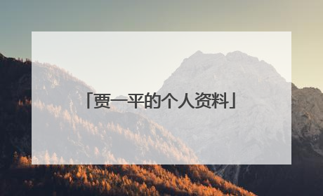 贾一平的个人资料