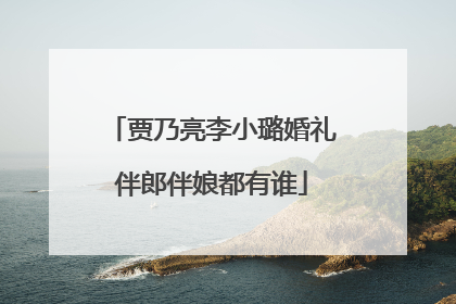 贾乃亮李小璐婚礼伴郎伴娘都有谁