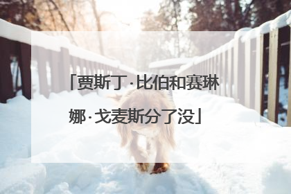 贾斯丁·比伯和赛琳娜·戈麦斯分了没