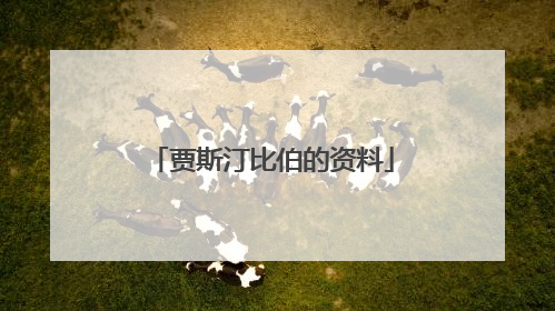 贾斯汀比伯的资料