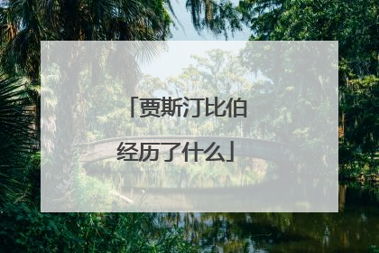 贾斯汀比伯经历了什么