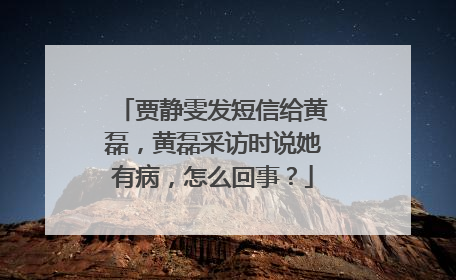 贾静雯发短信给黄磊，黄磊采访时说她有病，怎么回事？