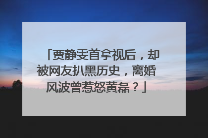 贾静雯首拿视后，却被网友扒黑历史，离婚风波曾惹怒黄磊？
