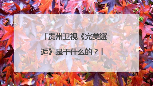 贵州卫视《完美邂逅》是干什么的?