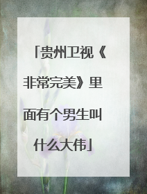 贵州卫视《非常完美》里面有个男生叫什么大伟