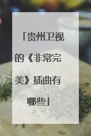 贵州卫视的《非常完美》插曲有哪些