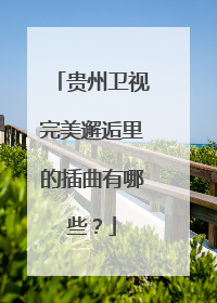 贵州卫视完美邂逅里的插曲有哪些？