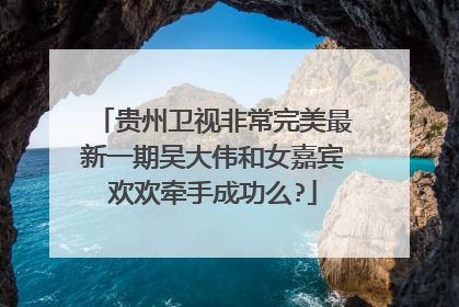 贵州卫视非常完美最新一期吴大伟和女嘉宾欢欢牵手成功么?