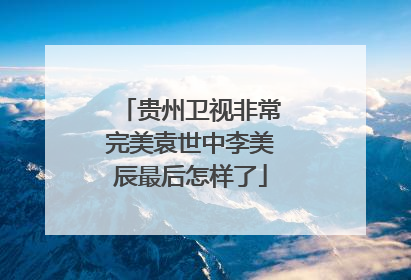 贵州卫视非常完美袁世中李美辰最后怎样了
