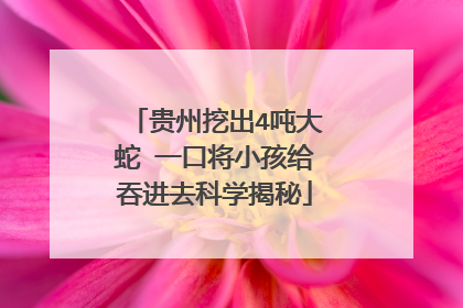 贵州挖出4吨大蛇 一口将小孩给吞进去科学揭秘