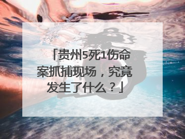 贵州5死1伤命案抓捕现场,究竟发生了什么?
