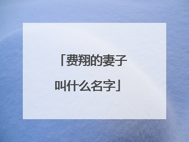费翔的妻子叫什么名字
