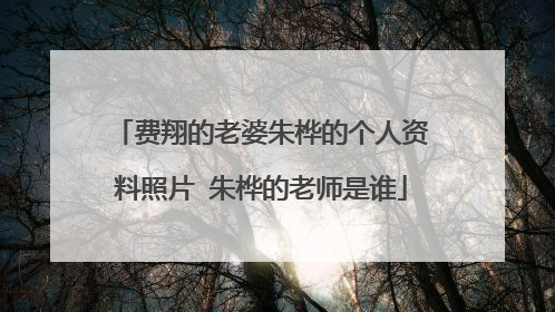 费翔的老婆朱桦的个人资料照片 朱桦的老师是谁