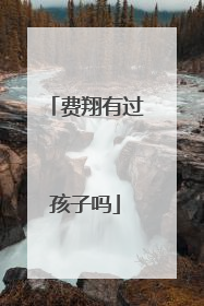 费翔有过孩子吗