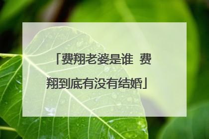 费翔老婆是谁 费翔到底有没有结婚