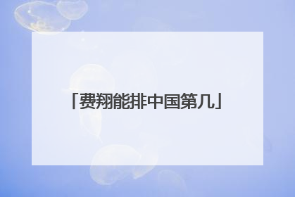 费翔能排中国第几