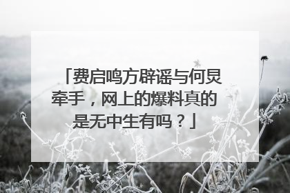 费启鸣方辟谣与何炅牵手，网上的爆料真的是无中生有吗？