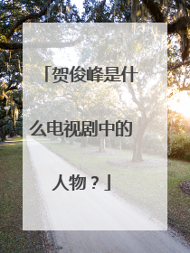 贺俊峰是什么电视剧中的人物？