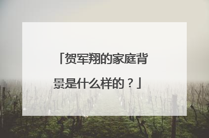 贺军翔的家庭背景是什么样的？