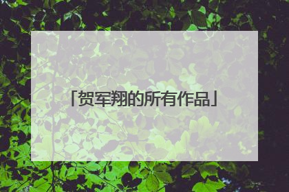 贺军翔的所有作品