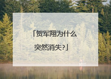 贺军翔为什么突然消失?