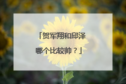 贺军翔和邱泽哪个比较帅？